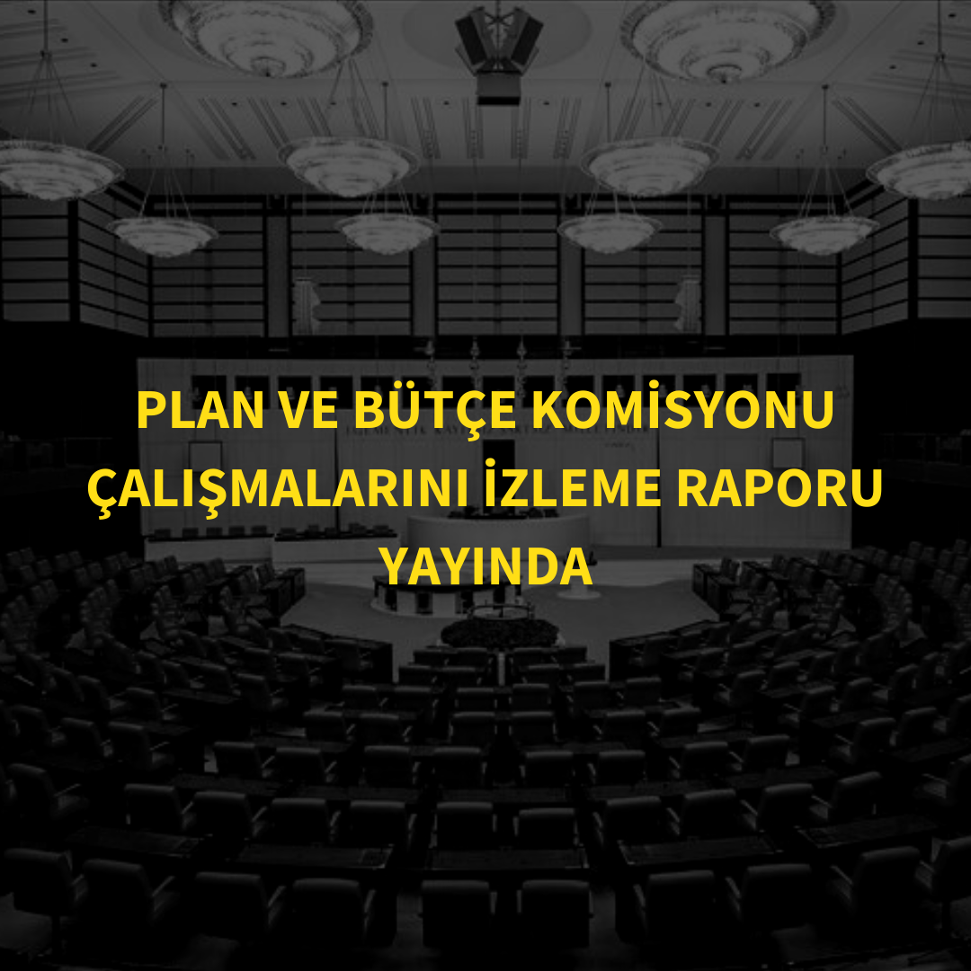 PLAN VE BÜTÇE KOMİSYONU ÇALIŞMALARINI İZLEME RAPORU